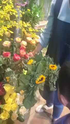 亲子时光-认识花卉