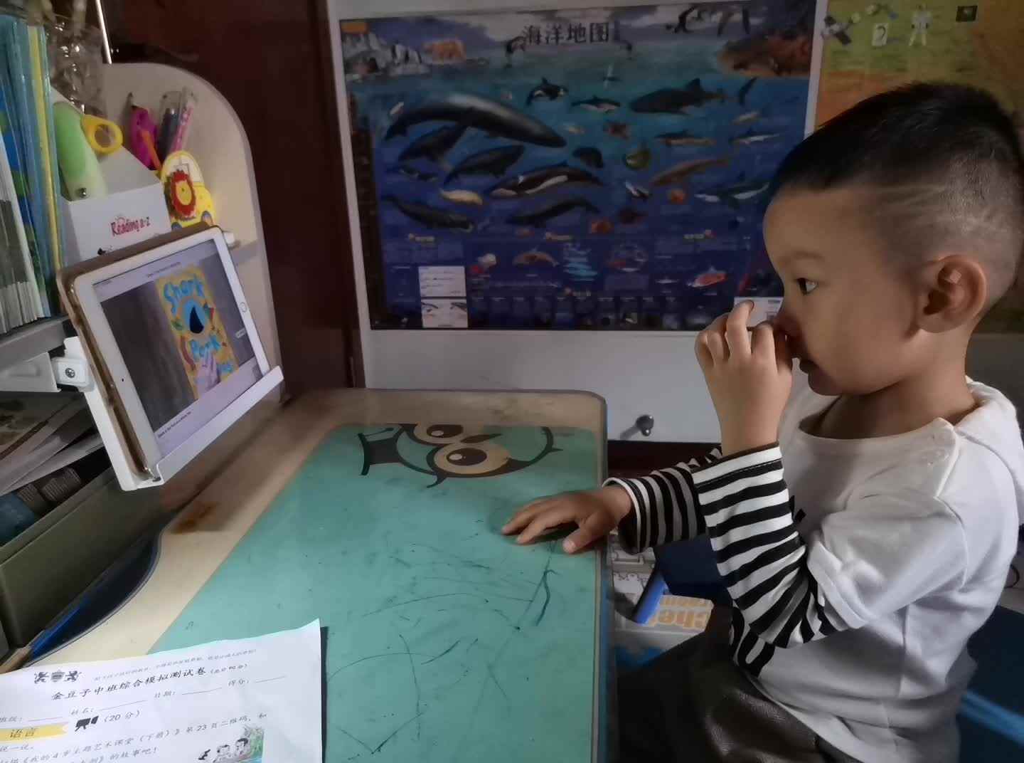 《英语绘本观看》.mp4