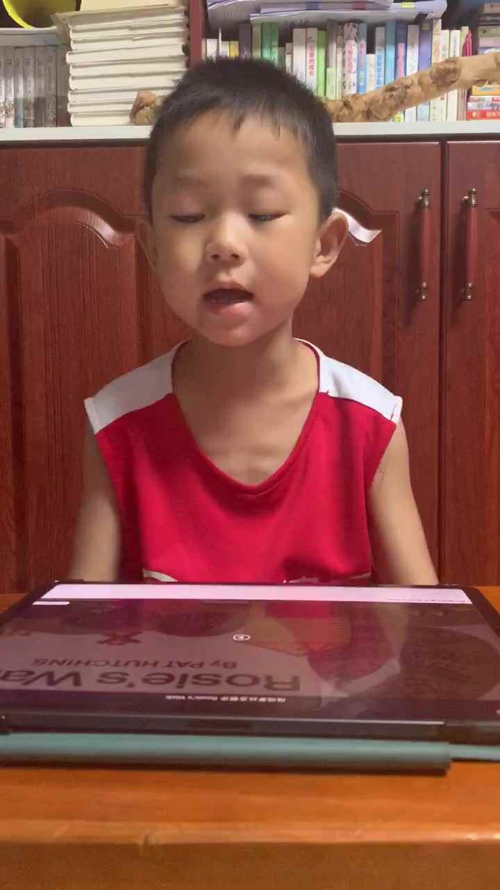 观看绘本-母鸡萝丝去散步