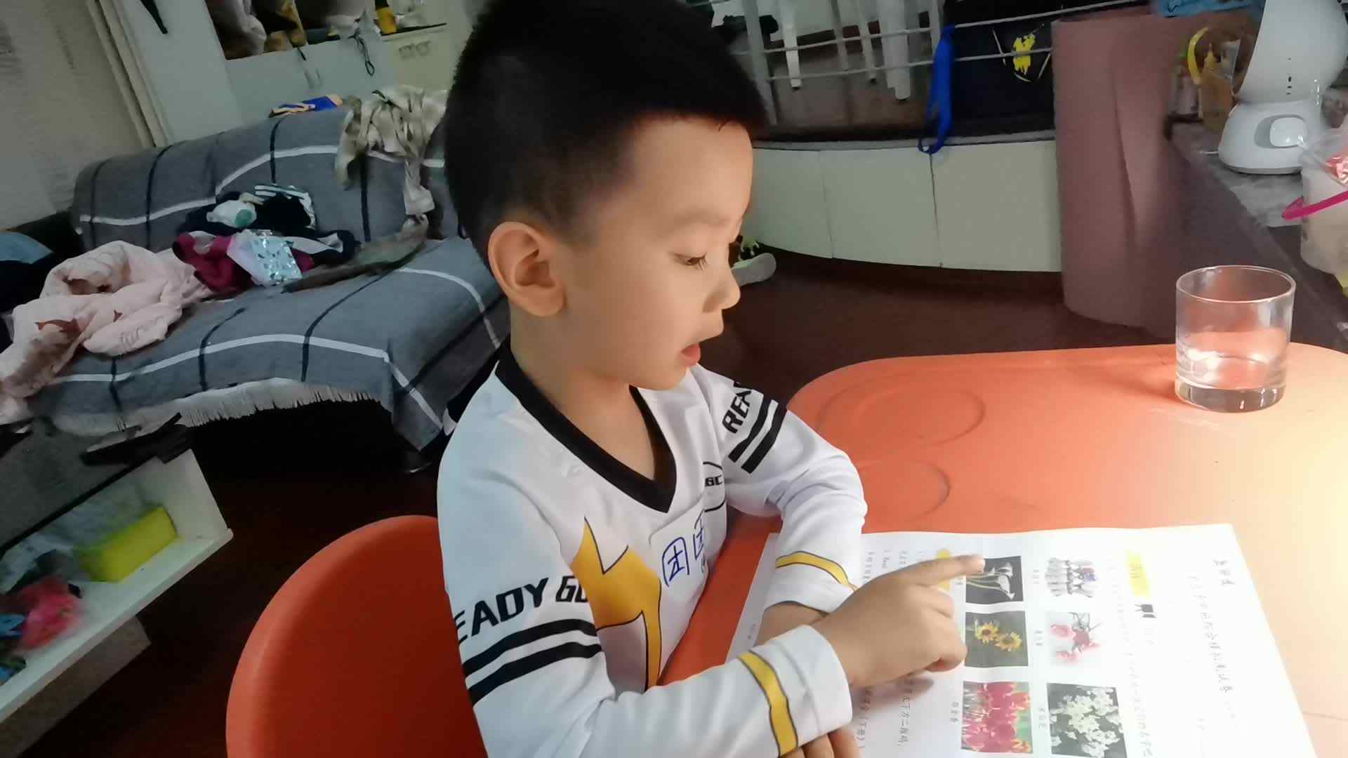 2023级B班刘梓浩闯关练习认识花卉.mp4