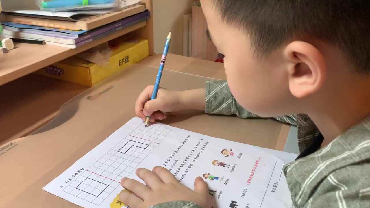 补充对称图形.MOV
