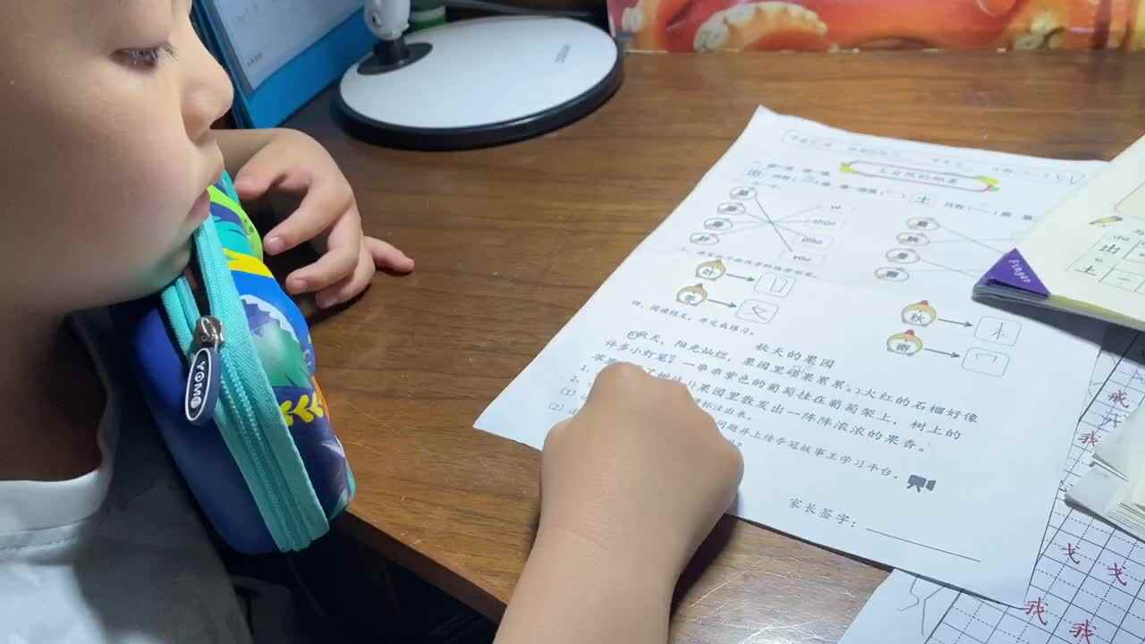 阅读短文 口述题