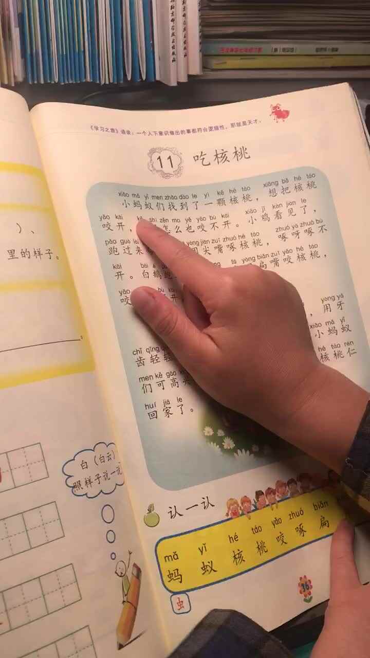 5.24指读课文