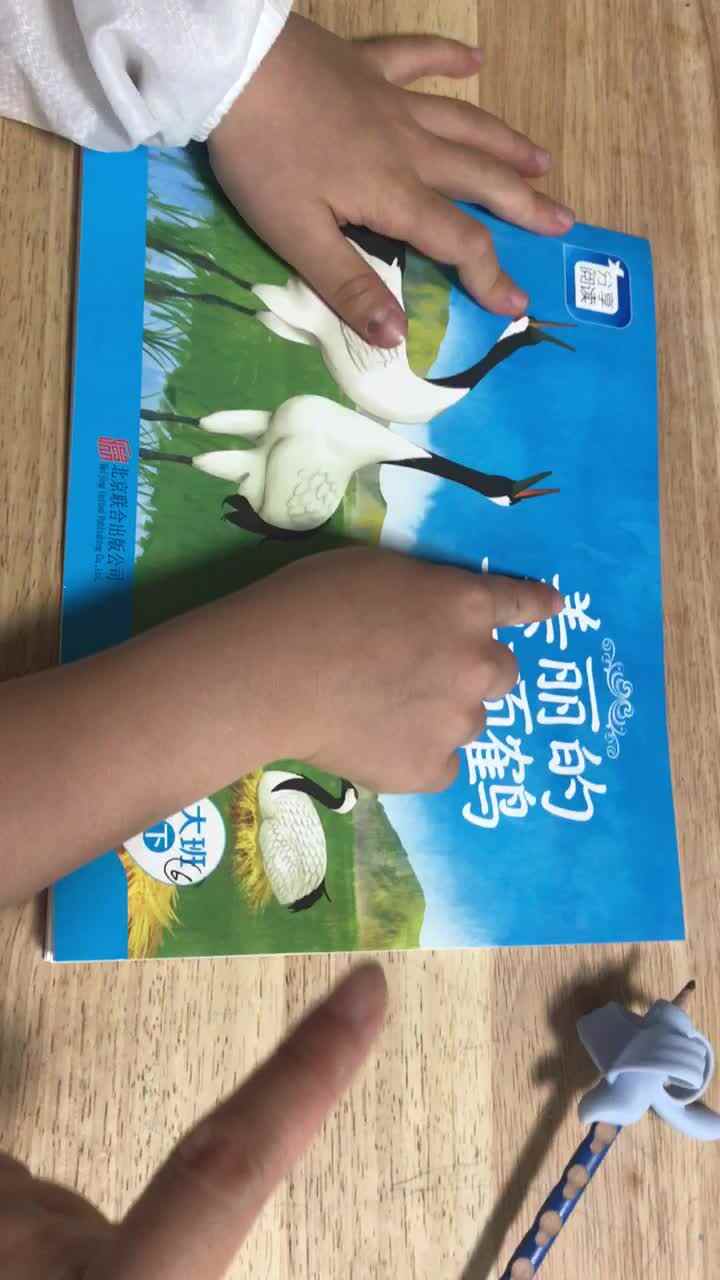 2021.5.22实验大班6号作业反馈