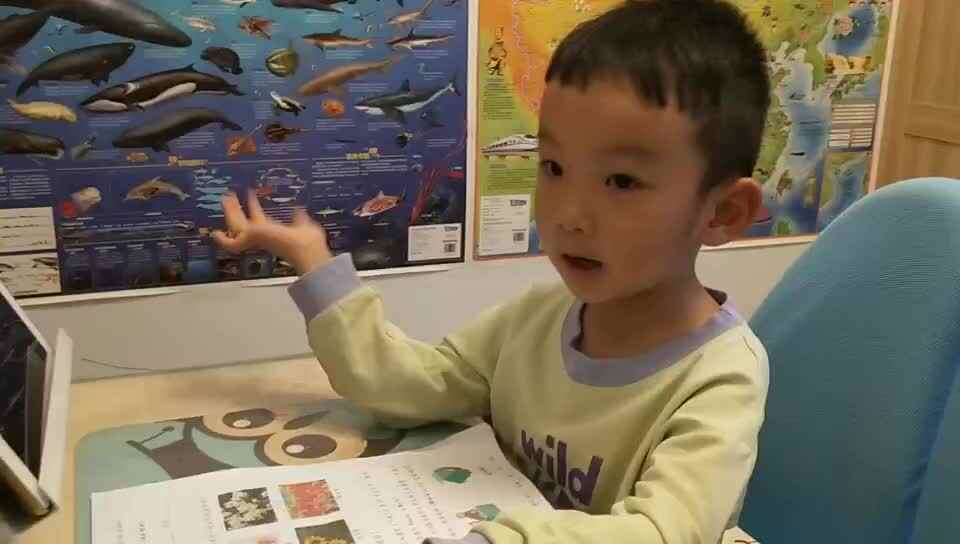 《语言~认识花卉》.mp4