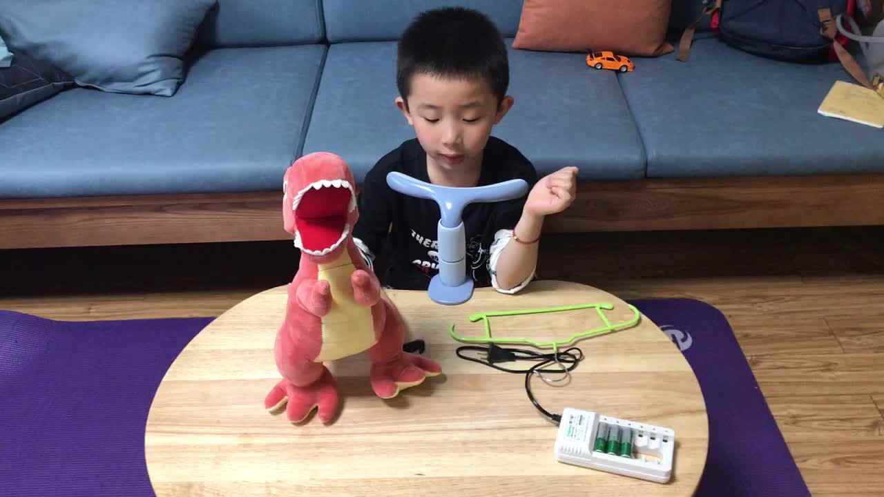 2021.5.13实验大班6号作业反馈