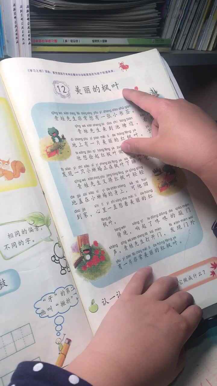 5.31指读课文《美丽的枫叶》