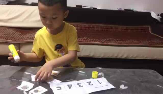 6.17小鸡成长的故事