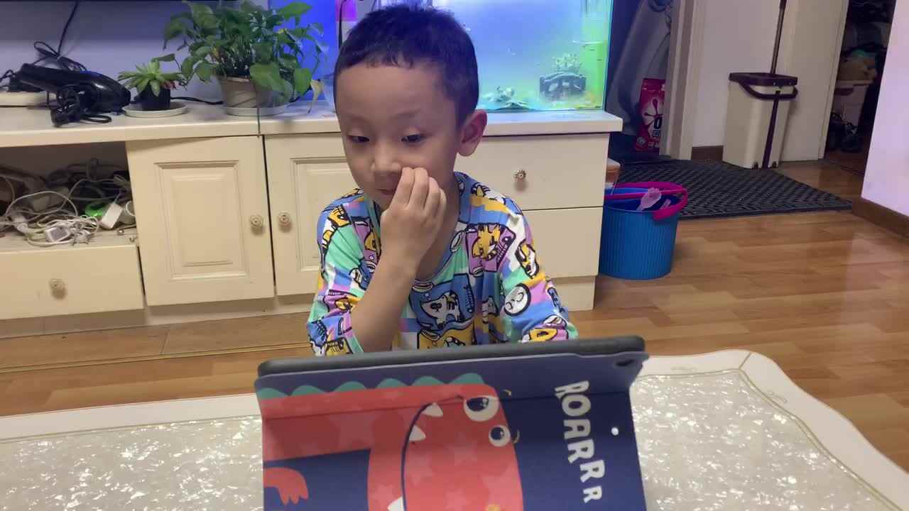 双胞胎兄弟