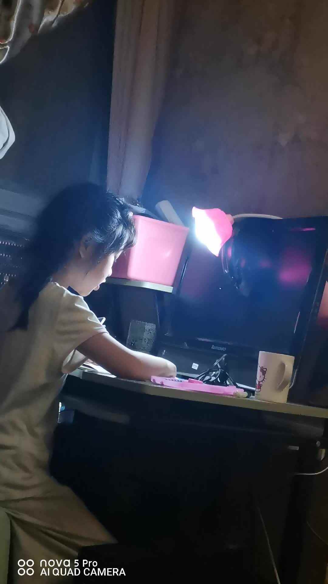 6.5傅筱雅语文视频作业