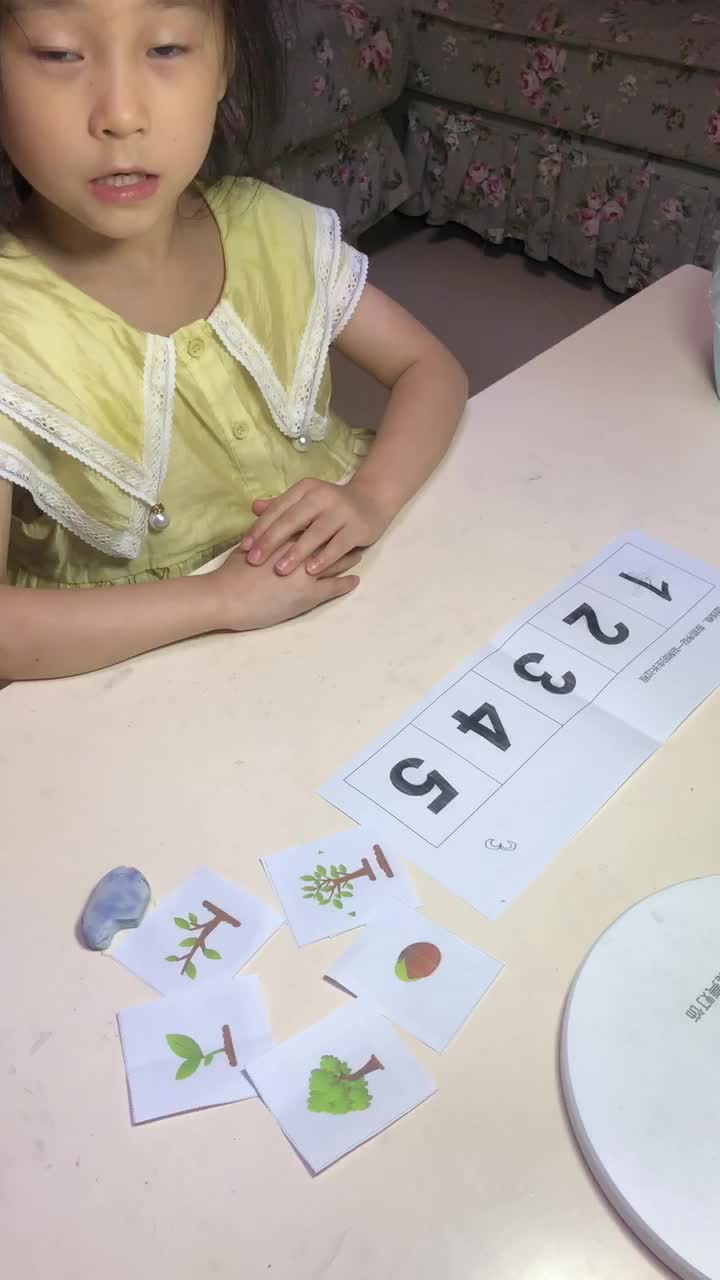 《树的生长过程》
