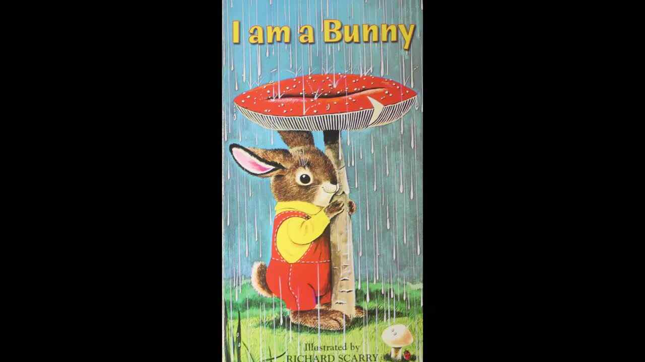 I Am A Bunny  我是一只小兔子