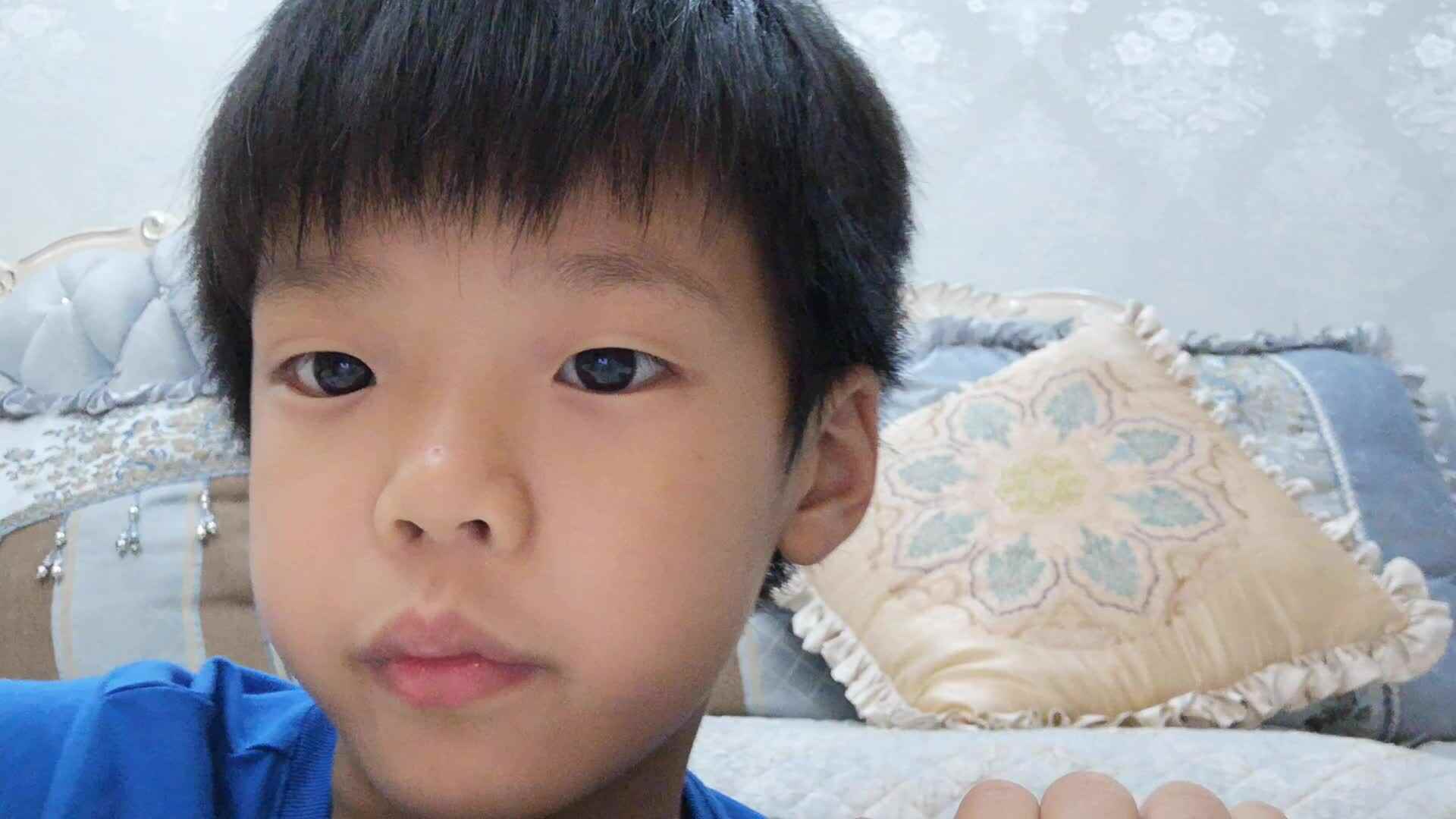 2021.6.3.雒昊然家庭语文作业