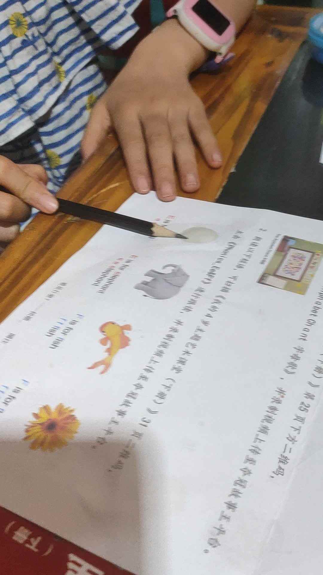 中B班