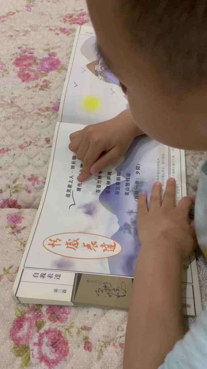 大C班张元洛 指读古诗《送灵澈上人》