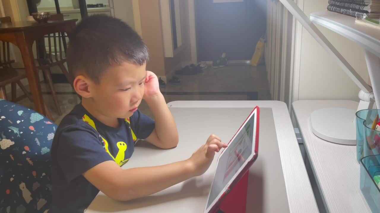 观看视频双胞胎兄弟
