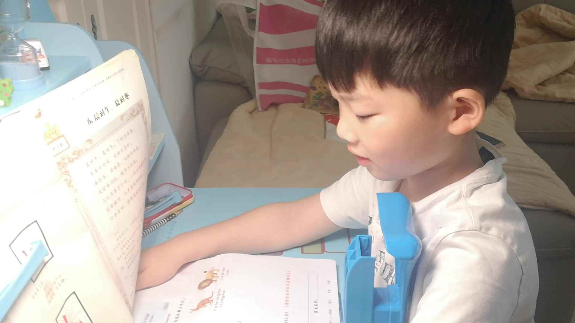 双胞胎故事