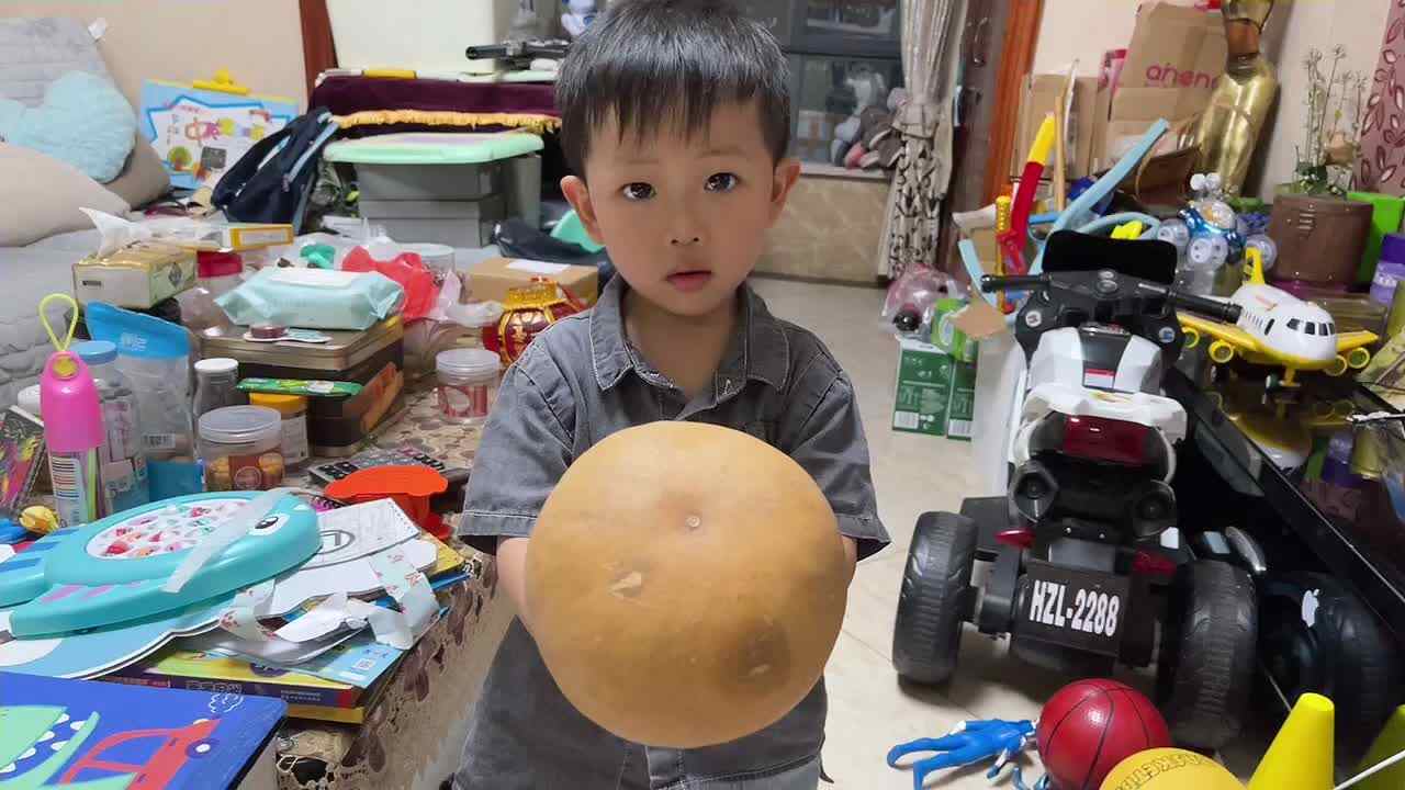 2021.6.7 闯关练习《认识圆形》