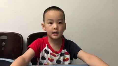 大C班袁承泽泰讲小鸡的成长过程