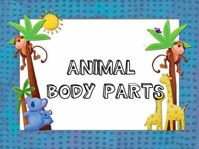 Animal body parts 动物身体部位
