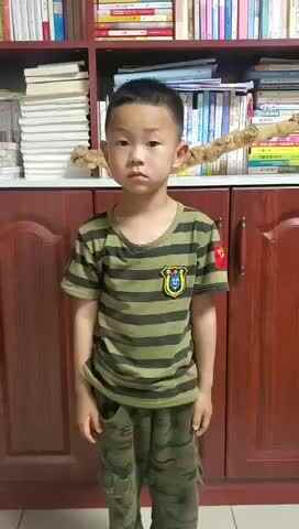 古诗《春晚》