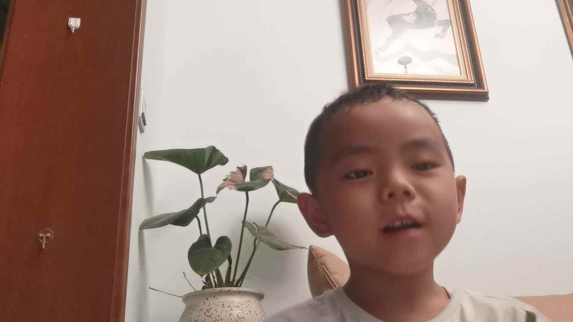 VID_20210616_大C班黄钰轩-送灵澈上人