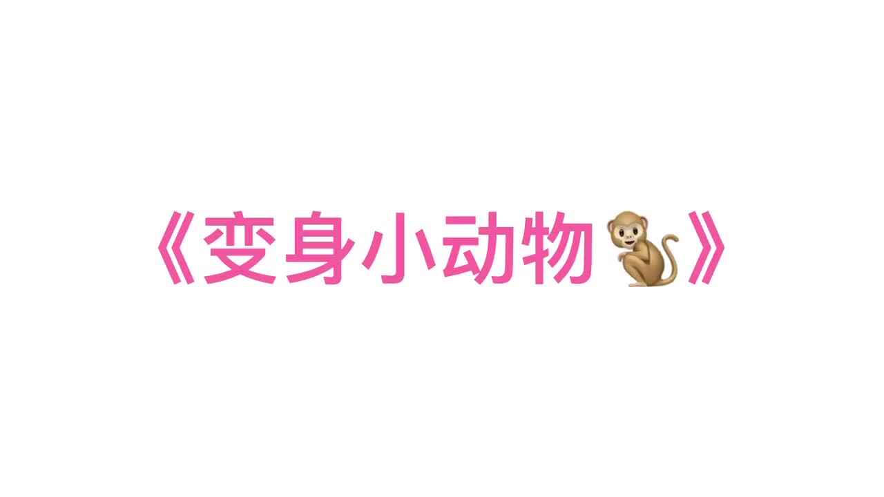 律动——《变身小动物》