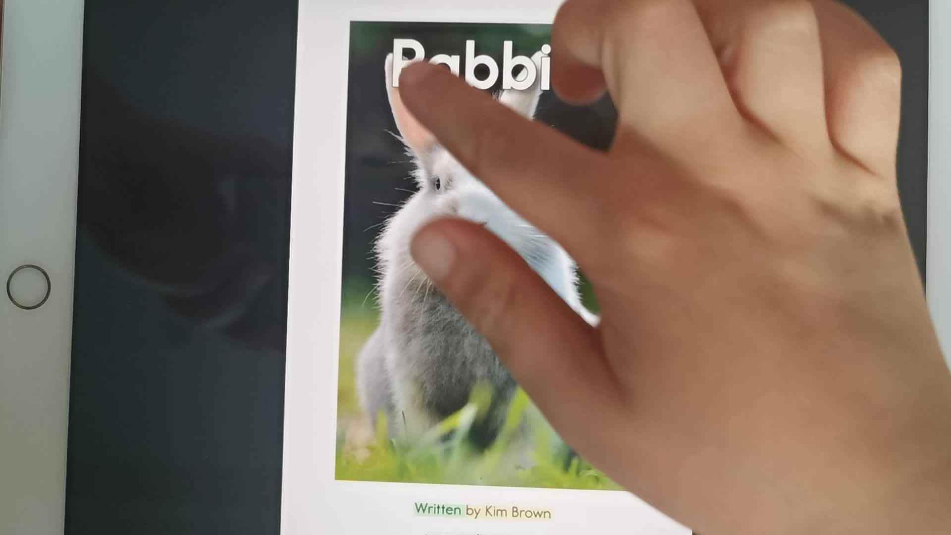 《Rabbits》