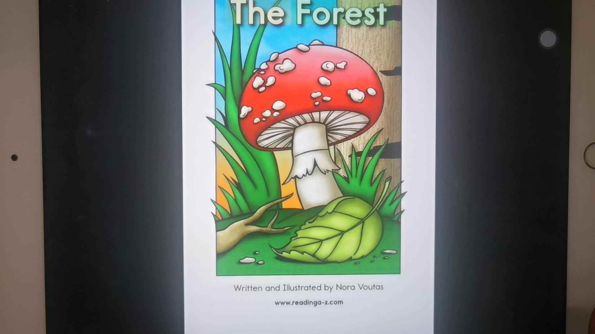 《The   Forest》