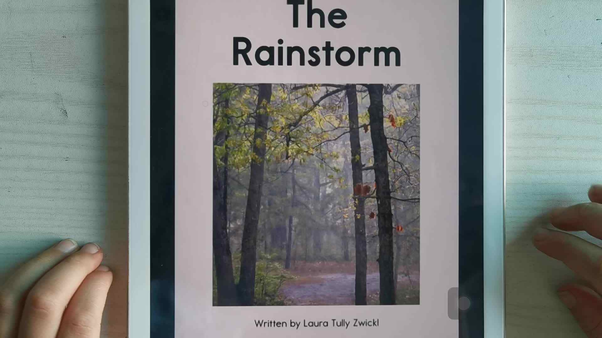《The  Rainstorm》