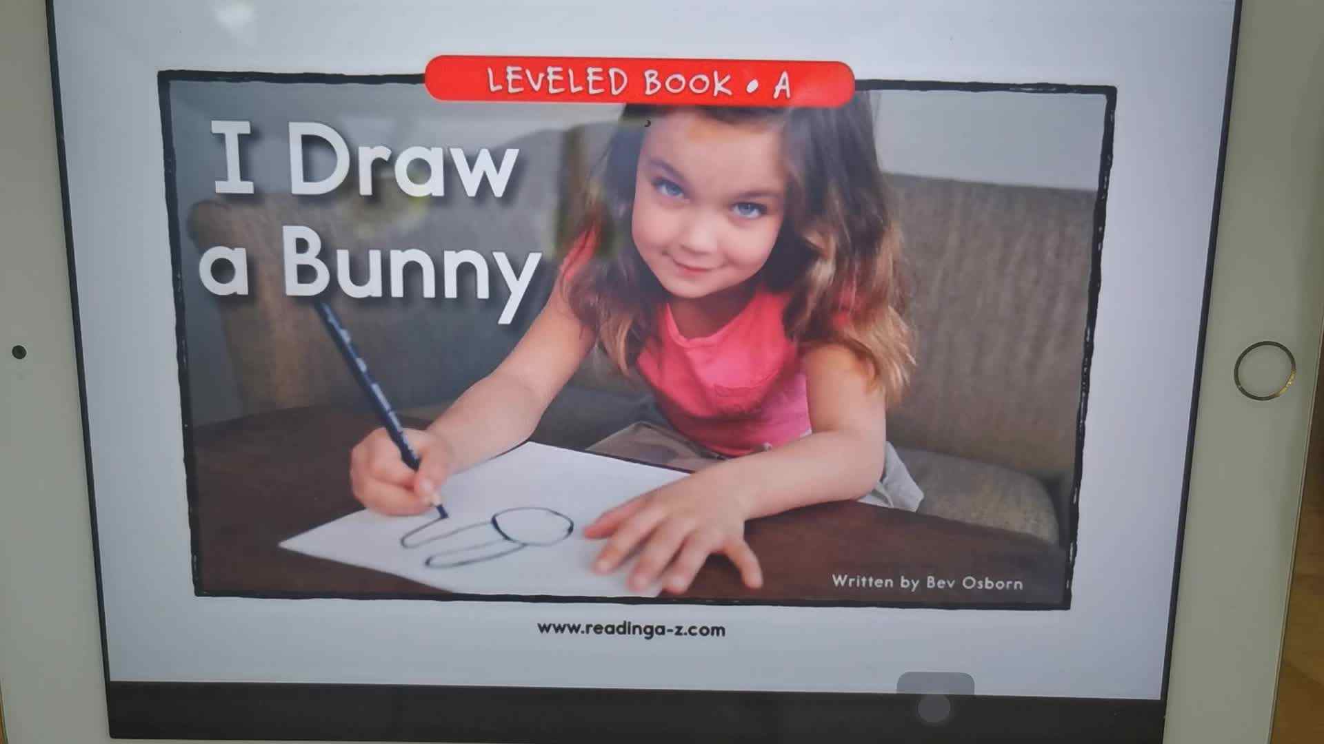 《I  Draw a  Bunny》