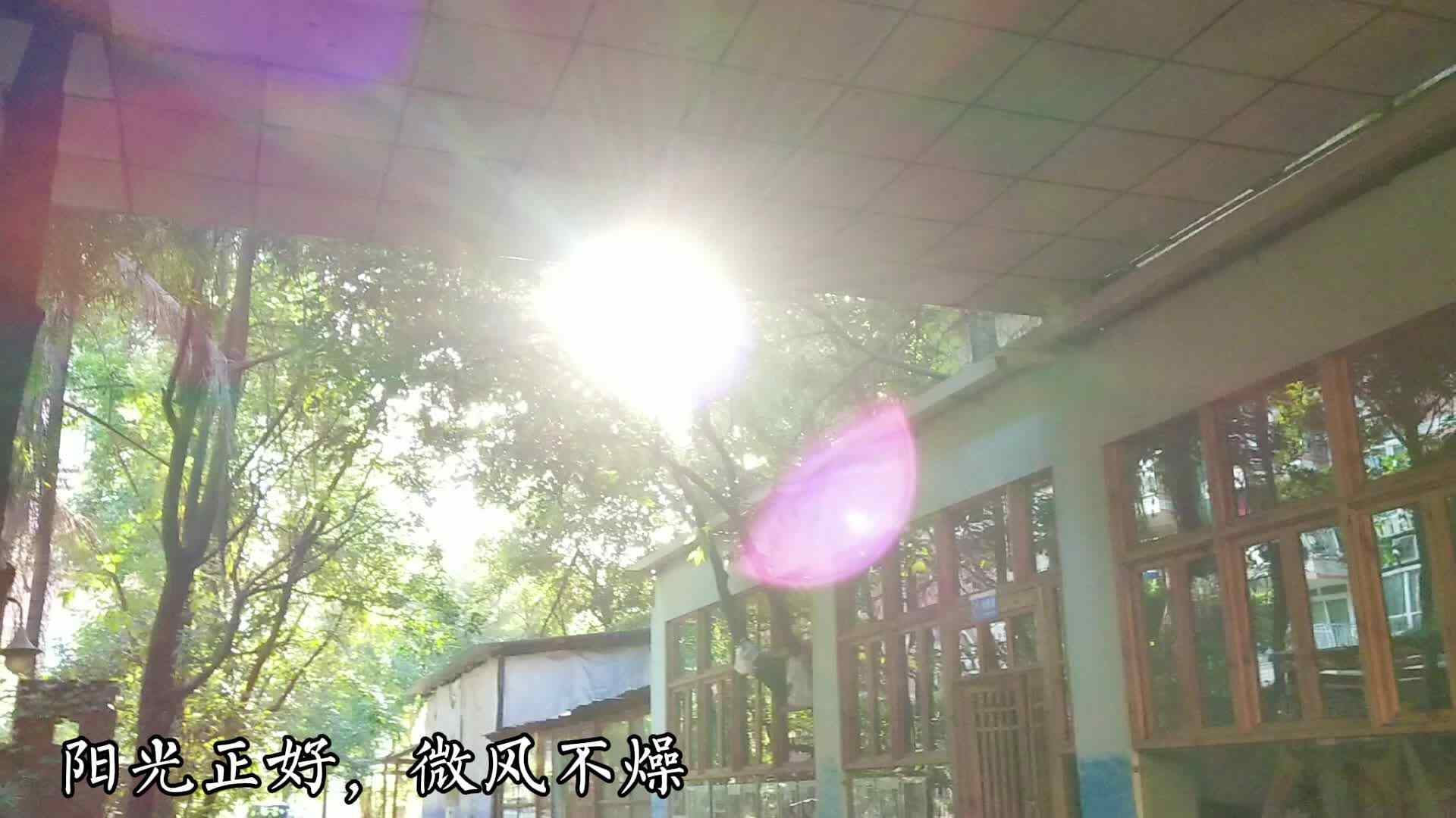 晨间活动.mp4