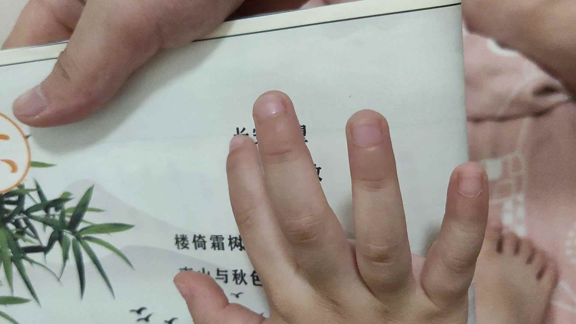 指读古诗长安秋望