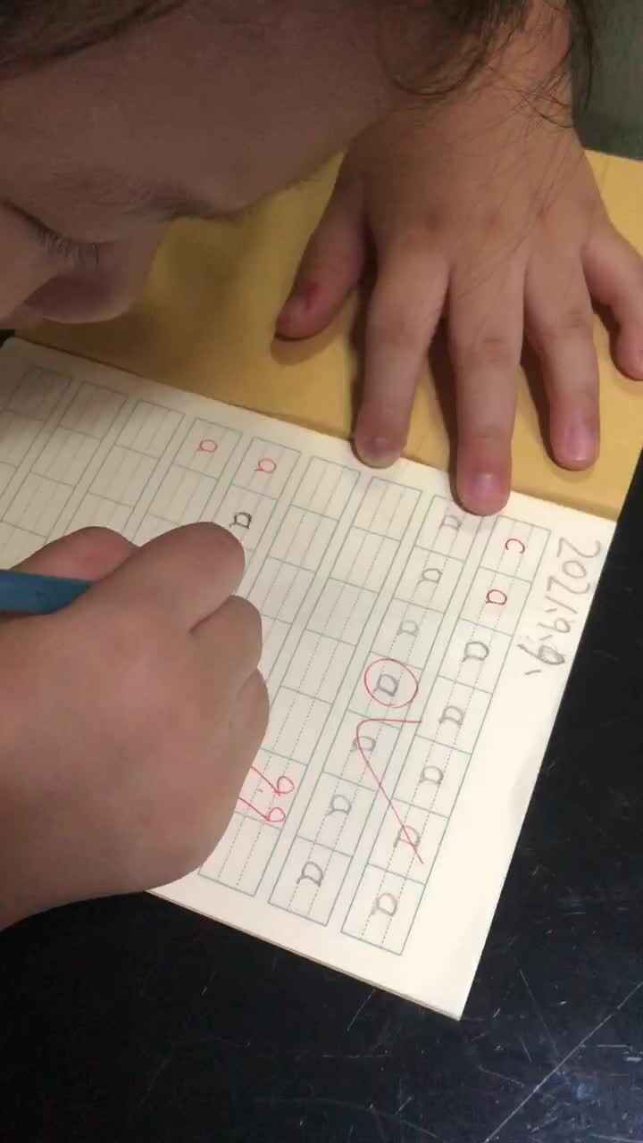 2021.9.9 家庭闯关拼音单韵母a练习