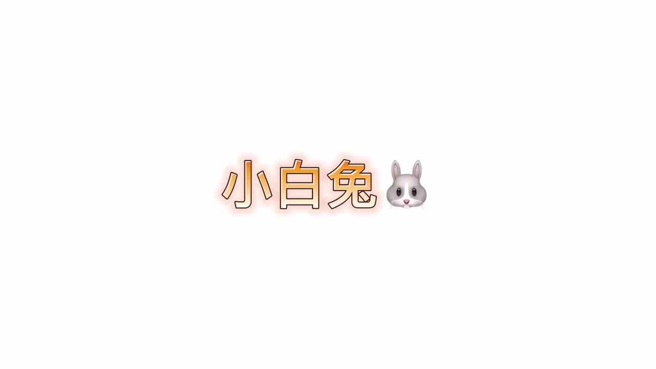 手势舞——《小白兔》