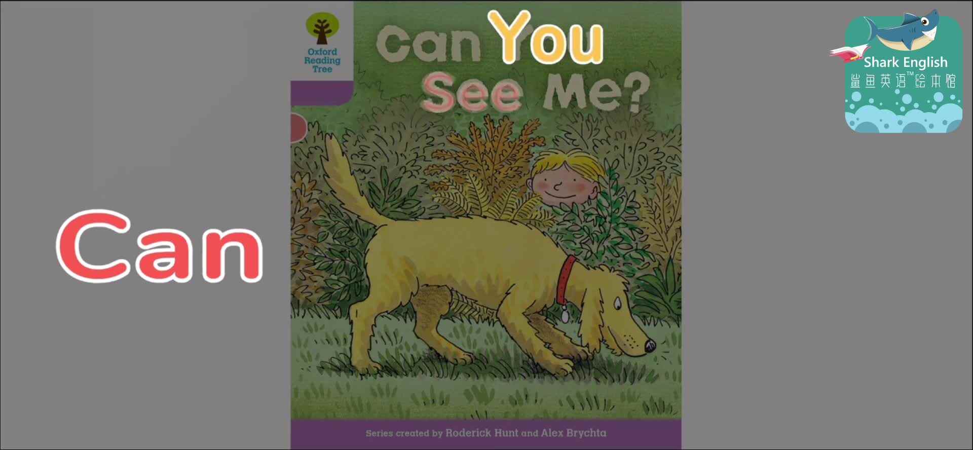 ORT19-正课-Can you see me
