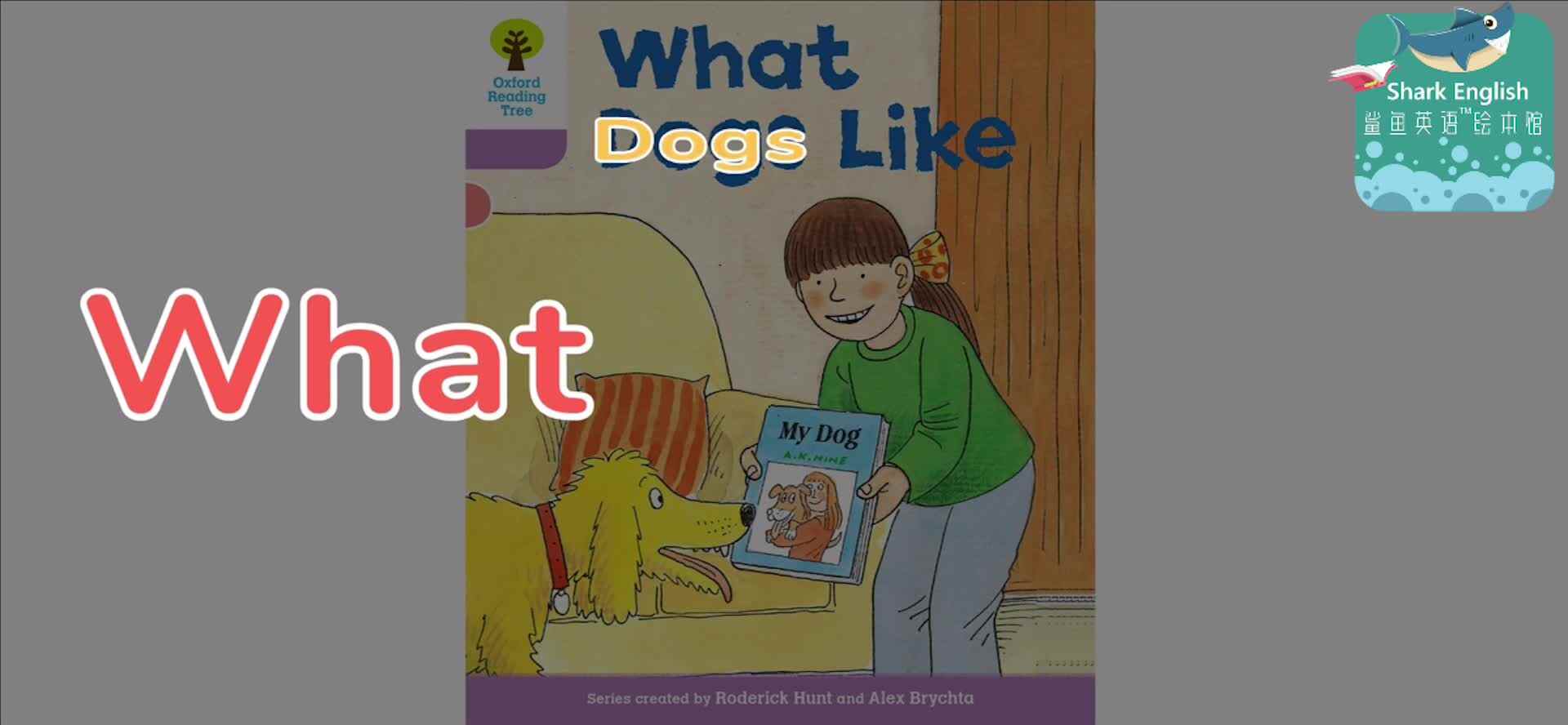 ORT12-正课-What dogs like