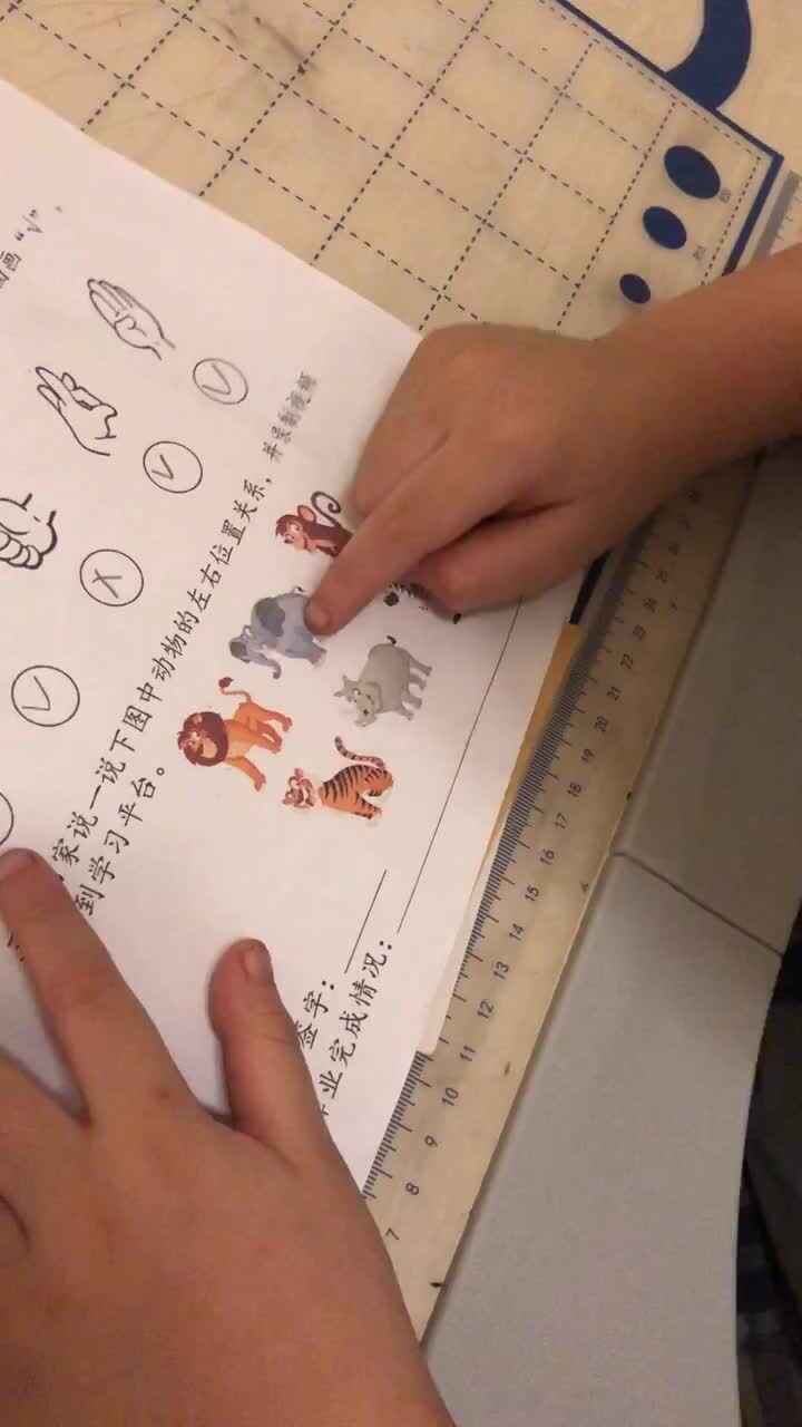 trim.15F2F392-CAAB-44BD-BDEF-A3927EC62A5E.MOV