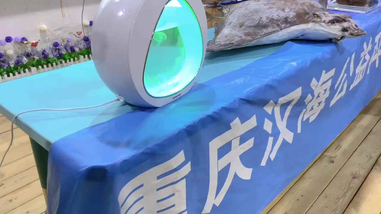 海洋知识