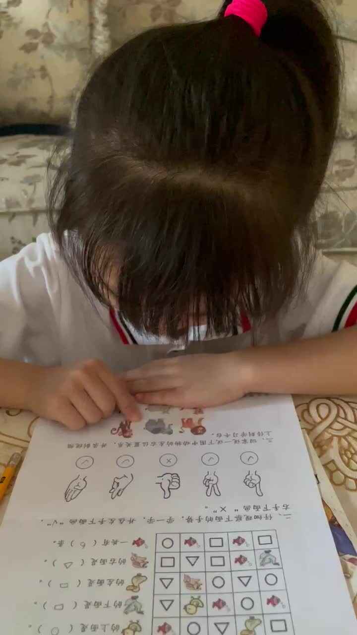 动物的左右位置关系