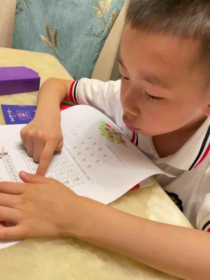 单韵母ü