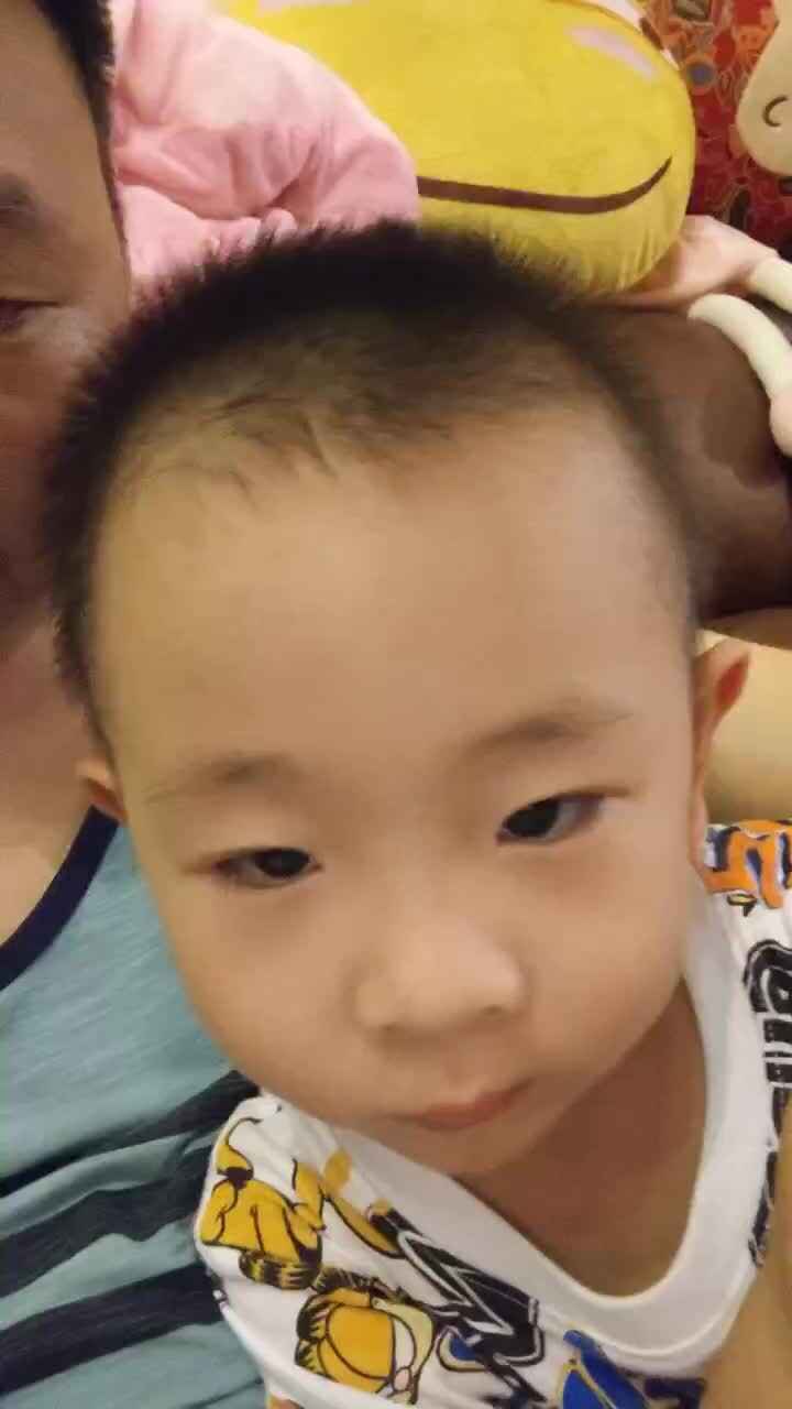 2021.9.15 陈子墨 《晓出净慈寺送林子方》