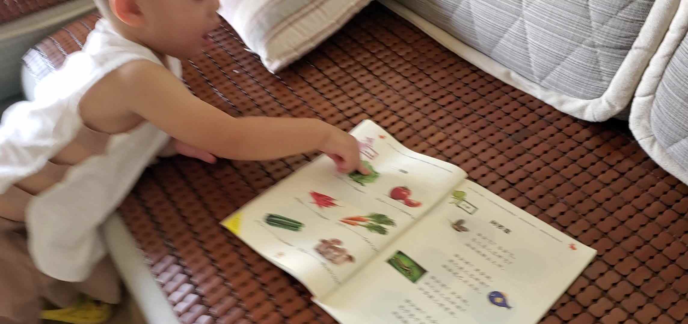 认识蔬菜