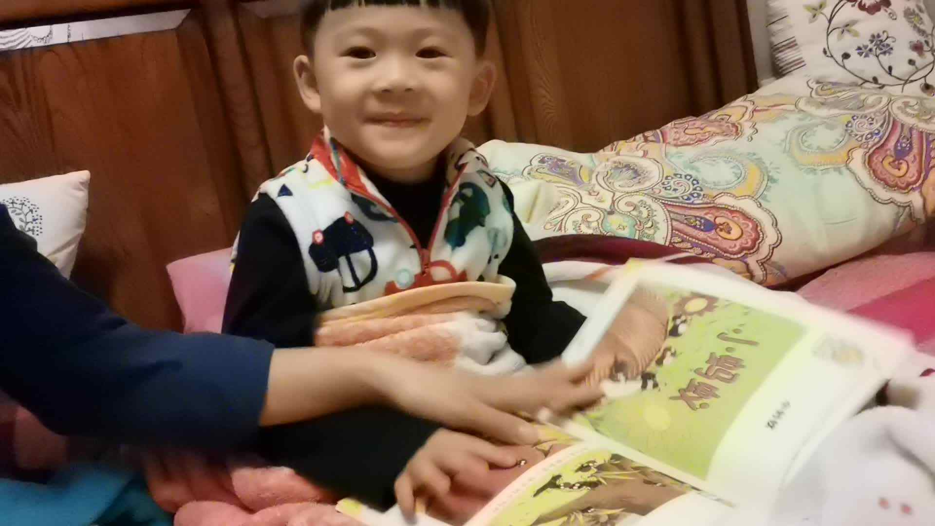 中B班朱训楠指读故事《小蚂蚁》.mp4