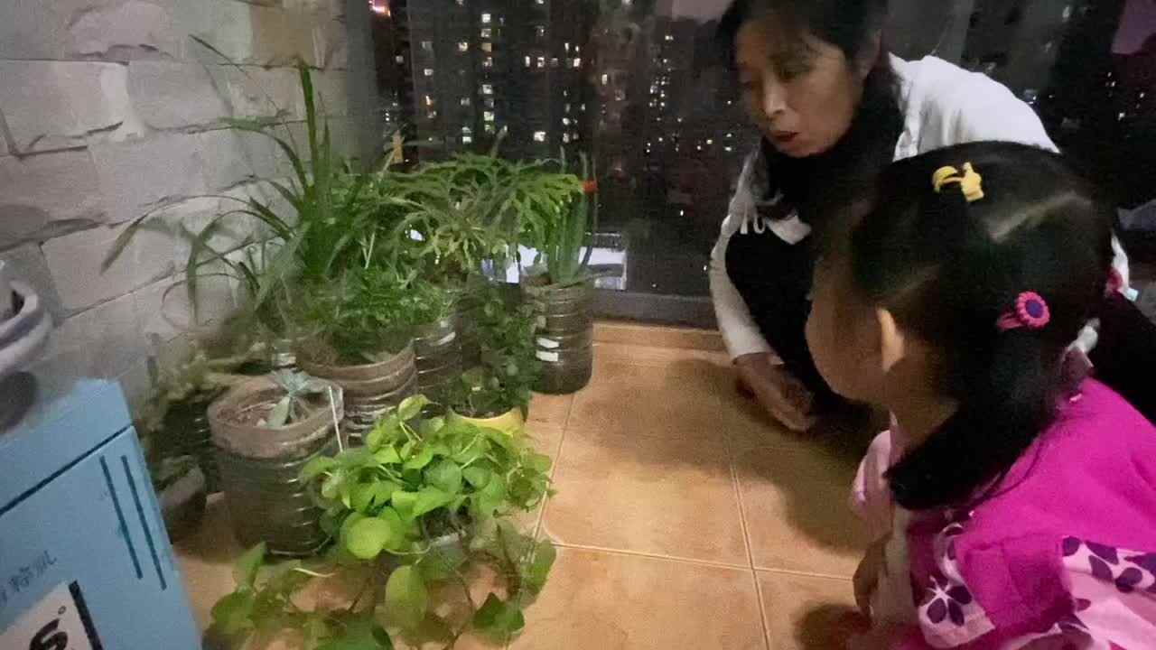 2021.10.15《认识植物》.MOV