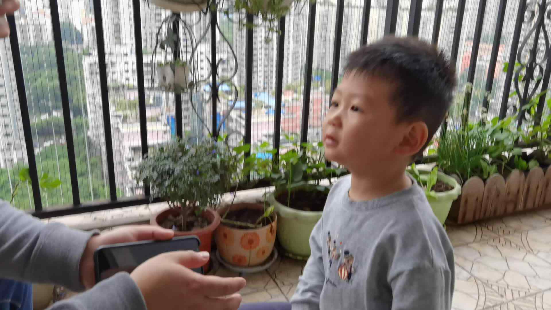 学唱国歌.mp4