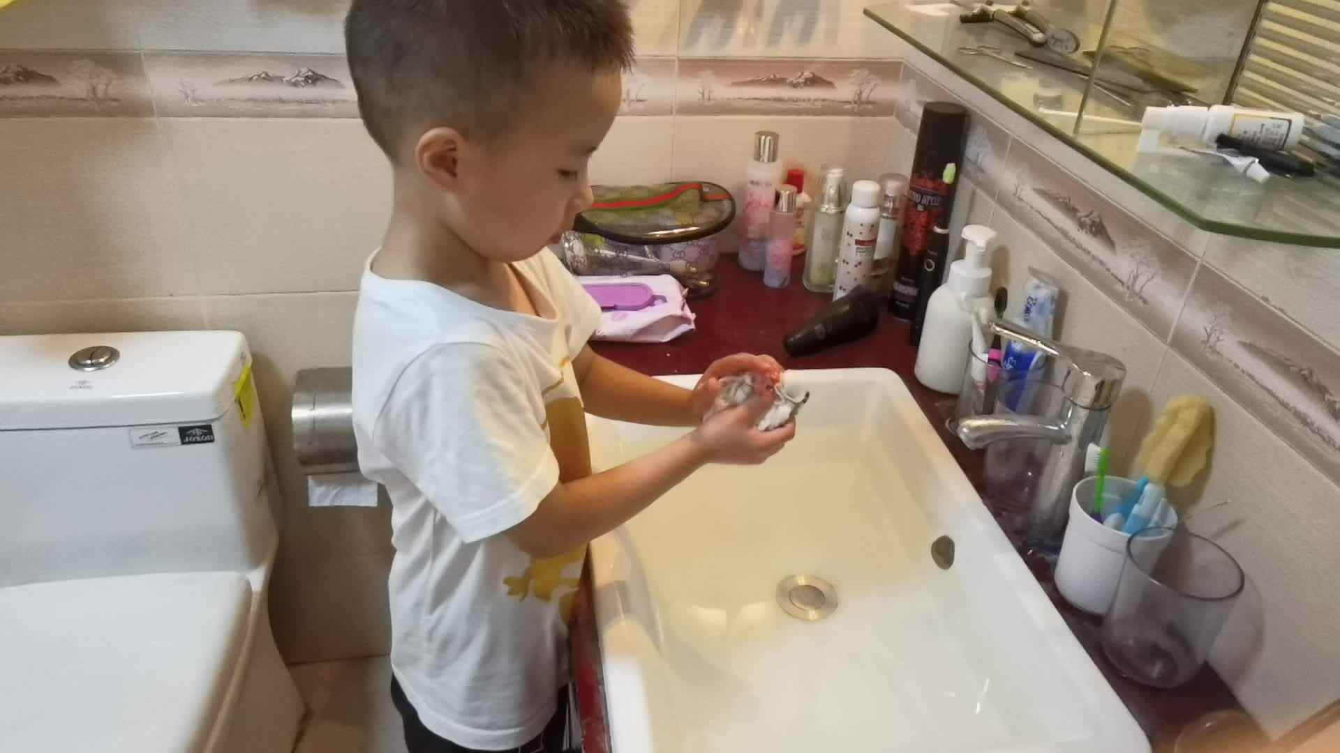 洗隔汗巾