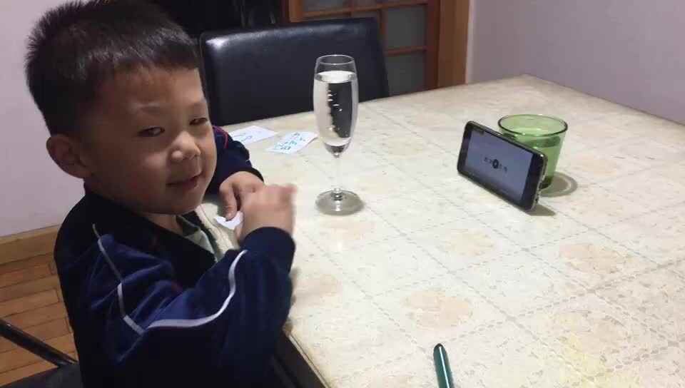 科学小实验《迷失的方向》.mp4