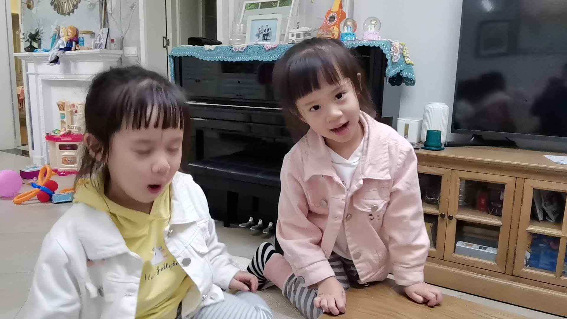 聪明的小鸡