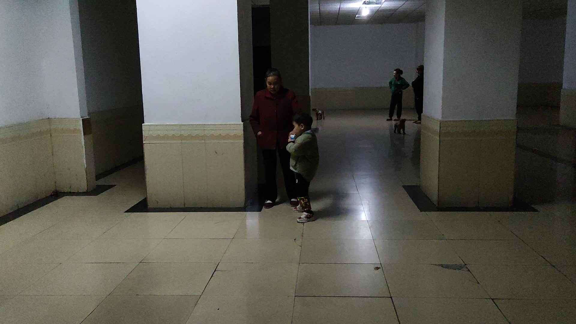 陪长辈散步